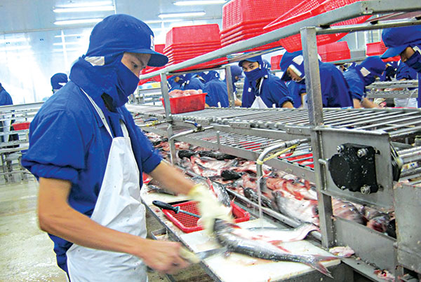 Le secteur de la pêche aquaculture en bonne voie de reprise